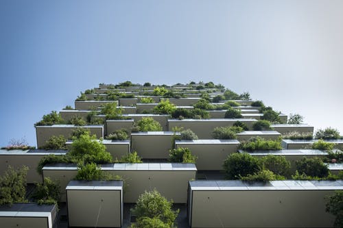 低角度的绿色植物与建筑物的照片 · 免费素材图片