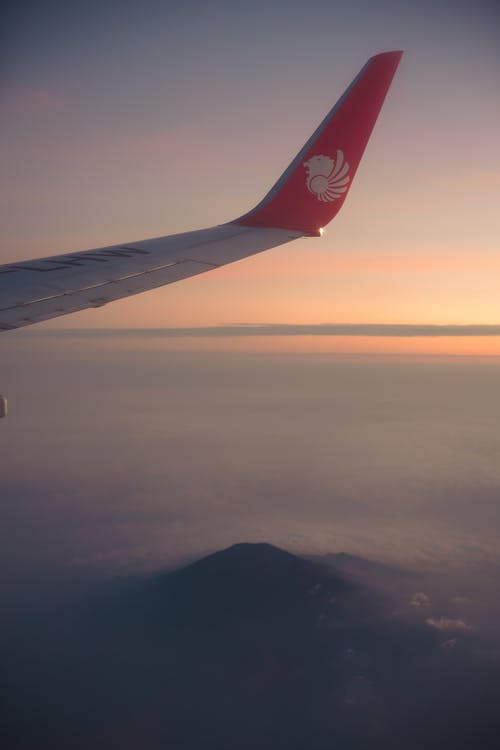 有关冒险, 冷静, 华丽的的免费素材图片