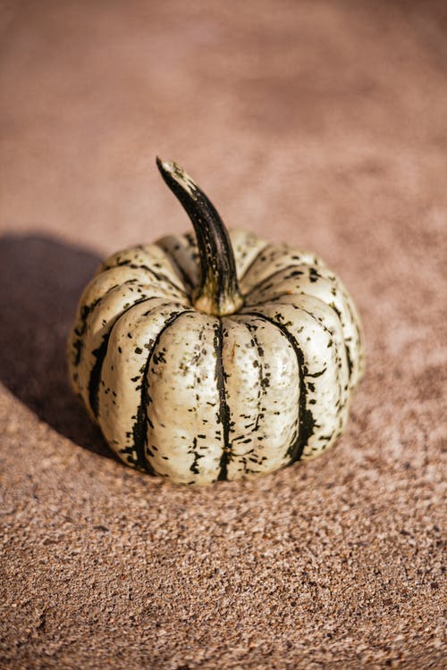 有关俯视图, 南瓜, 卵石的免费素材图片