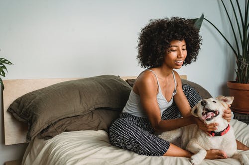 正面黑人女性摩擦狗在卧室 · 免费素材图片