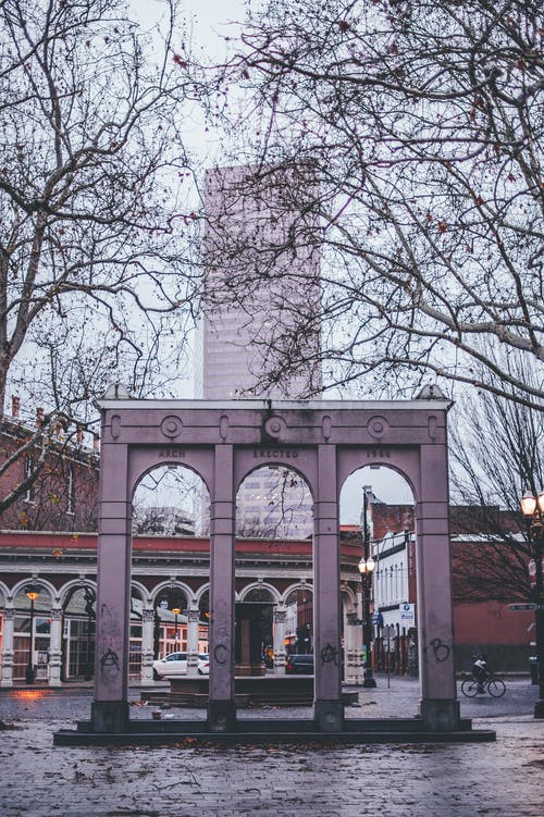 有关下落, 光秃秃的, 公园的免费素材图片