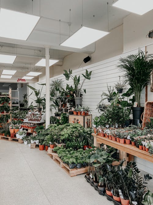 有关不一样, 交换, 什锦的的免费素材图片