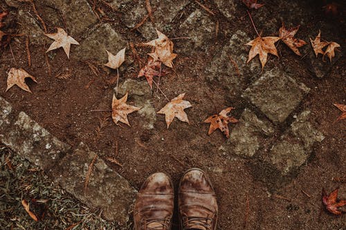 落叶的地面上穿棕色皮鞋的人 · 免费素材图片
