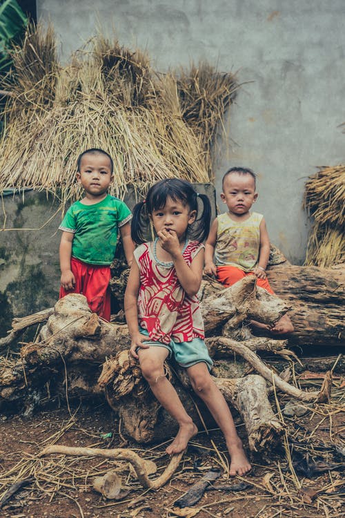 三个孩子坐在日志上 · 免费素材图片