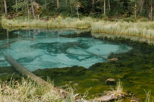 在森林里的小湖 · 免费素材图片