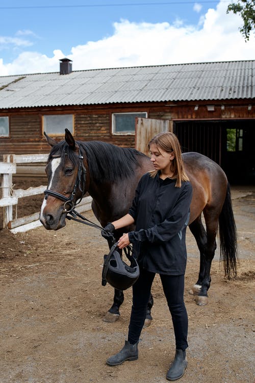 马在围场附近稳定的女人 · 免费素材图片