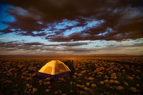 金色小时在多云的天空下被鲜花包围的设置棕色帐篷 · 免费素材图片