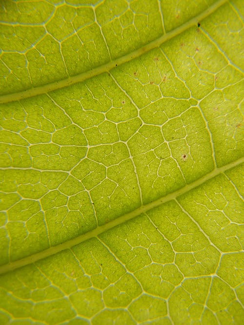 有关Copyspace, 光, 全画幅的免费素材图片