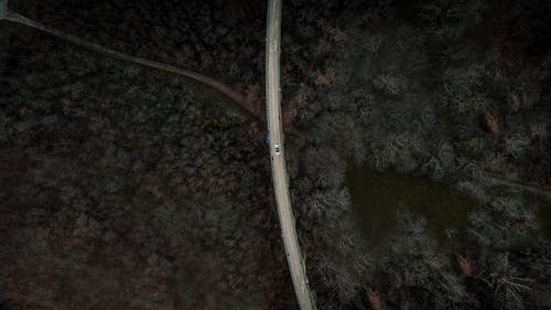 有关下落, 俯视图, 场景的免费素材图片