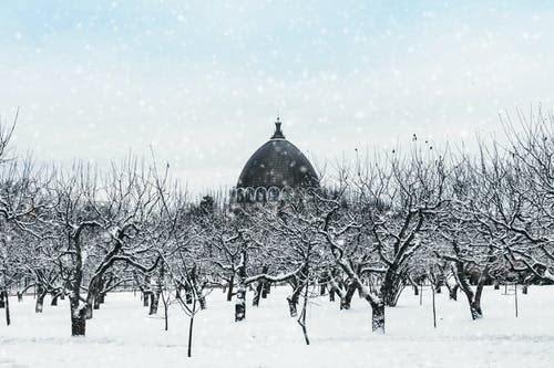 大雪覆盖的景观 · 免费素材图片