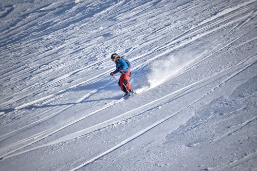 蓝夹克和红色滑雪裤滑雪的人 · 免费素材图片