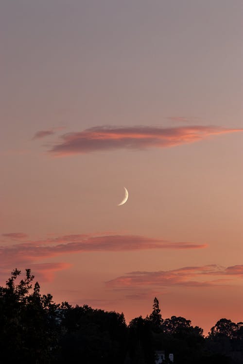 有关公园, 冷静, 剪影的免费素材图片