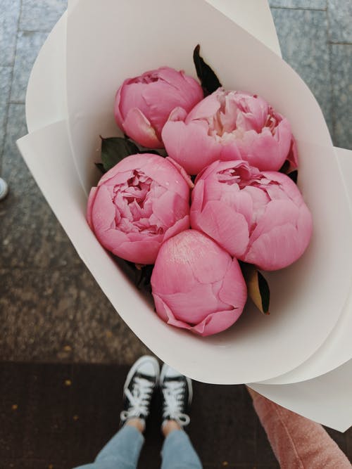 四朵粉红玫瑰鲜花花束 · 免费素材图片