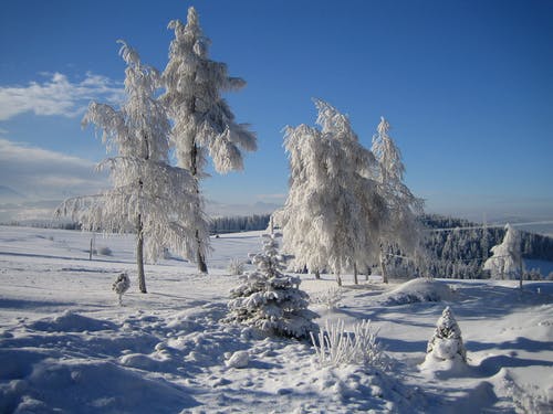 有关冬季, 冷, 大雪覆盖的免费素材图片