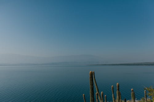 蓝色的大海表面与地平线上的山丘 · 免费素材图片