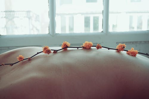 人背上的橙色花瓣花 · 免费素材图片