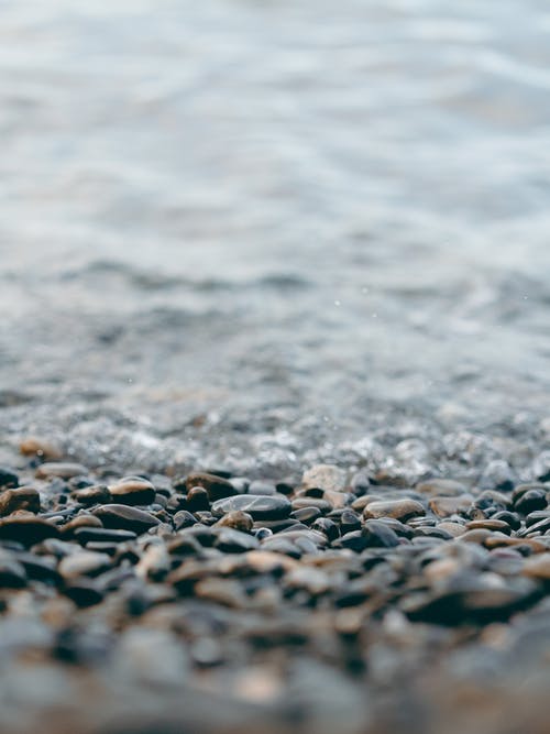 岩石在海滩的特写照片 · 免费素材图片