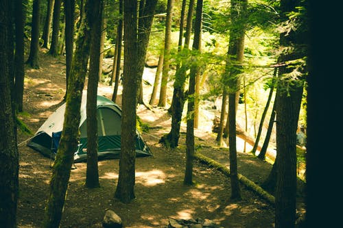 有关冒险, 帐篷, 森林的免费素材图片