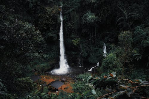 森林中央的瀑布 · 免费素材图片