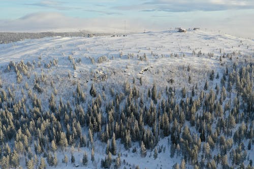 有关idre, 冬季, 冰的免费素材图片