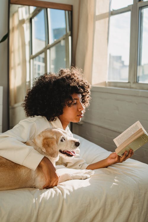 集中年轻黑人妇女拥抱好奇听话的狗，当读书ob床时 · 免费素材图片