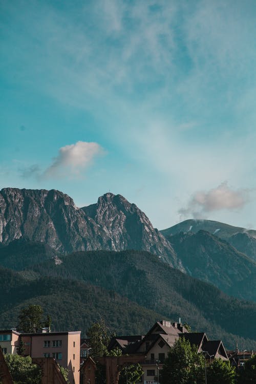 有关光, 和平的, 垂直拍摄的免费素材图片