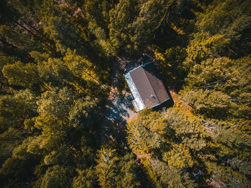房子被树木包围的鸟瞰图 · 免费素材图片