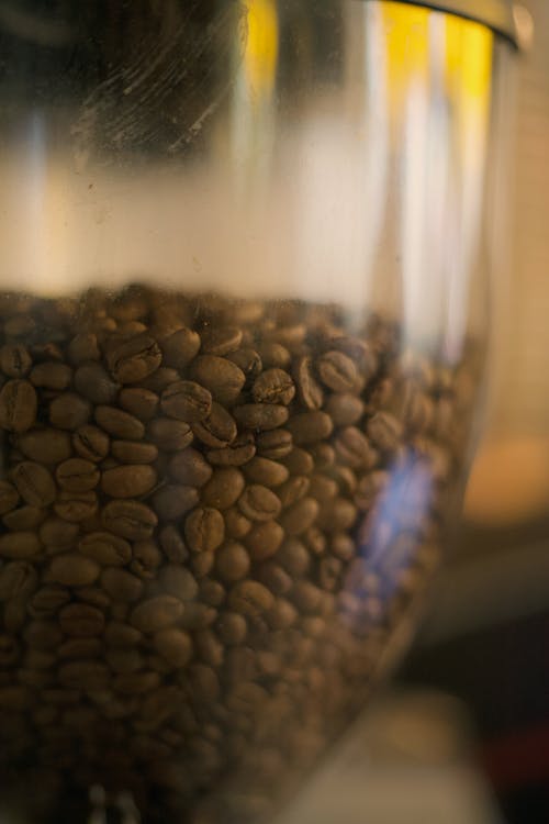 有关咖啡因, 咖啡豆, 棕色的免费素材图片