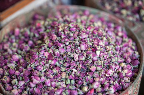 紫色花瓣 · 免费素材图片