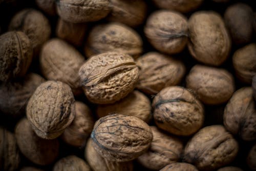 有关walnuta, 坚果, 坚果壳的免费素材图片
