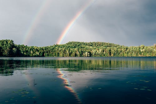 树上的彩虹照片 · 免费素材图片