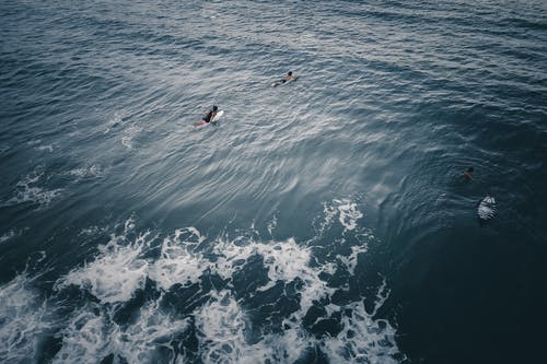 有关一起, 假日, 假期的免费素材图片