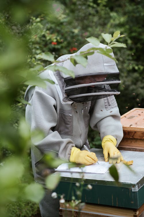 匿名养蜂人在收获期间写信息 · 免费素材图片