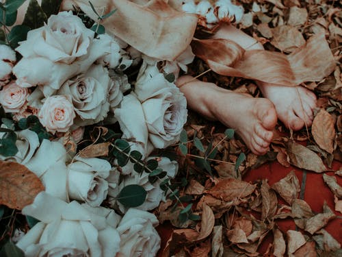 人脚附近的白玫瑰 · 免费素材图片