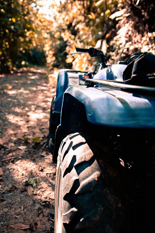 有关一台电视, 公园, 原本的免费素材图片