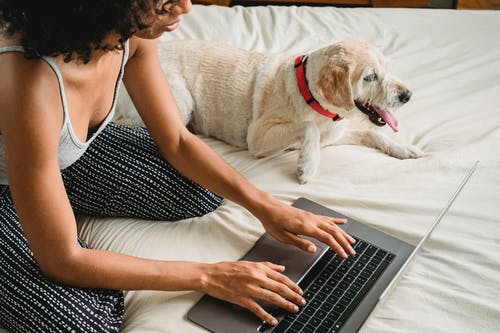 与狗一起休息时使用笔记本电脑的沉思黑女人 · 免费素材图片