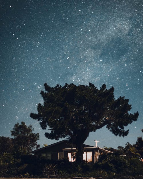 夜间星空下的房子前绿叶树 · 免费素材图片