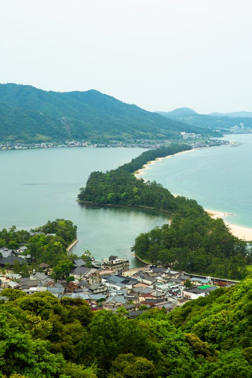 松树生长在沙洲连接海湾在阳光下 · 免费素材图片