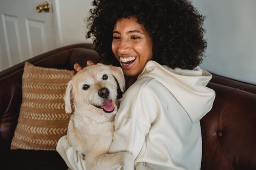 微笑在沙发上的非洲裔美国女性抚摸狗 · 免费素材图片