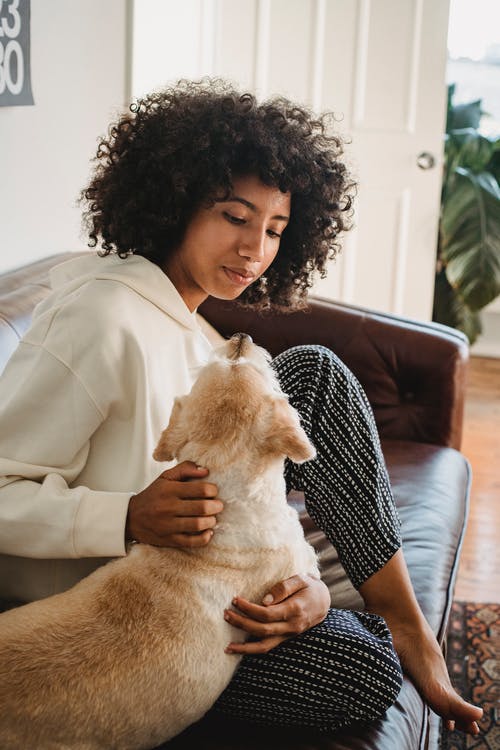 黑人女性与狗在客厅里拥抱 · 免费素材图片