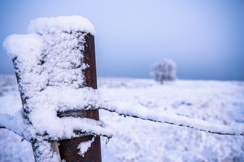 棕色木栅栏覆盖着雪 · 免费素材图片
