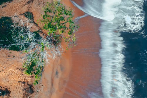 有关俯视图, 分公司, 土耳其蓝的免费素材图片