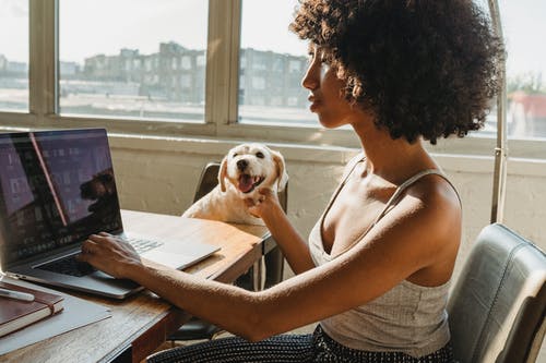 非洲裔美国女性自由职业者与笔记本电脑和狗 · 免费素材图片
