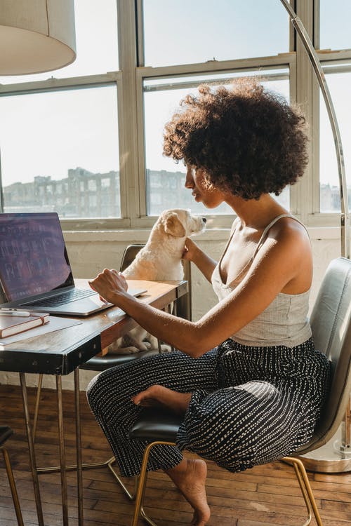 黑人女性自由职业者与狗一起使用计算机 · 免费素材图片