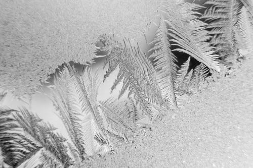 雪花的微距摄影 · 免费素材图片