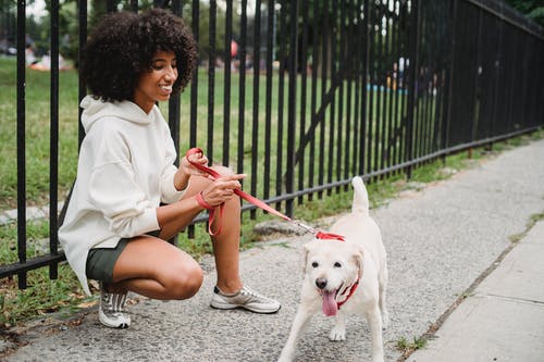 微笑和狗一起玩的黑女人 · 免费素材图片