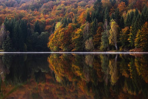 橙色和绿色的叶树附近的水体 · 免费素材图片