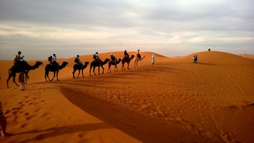 白天在白色天空下的甜点上的人类骑骆驼 · 免费素材图片