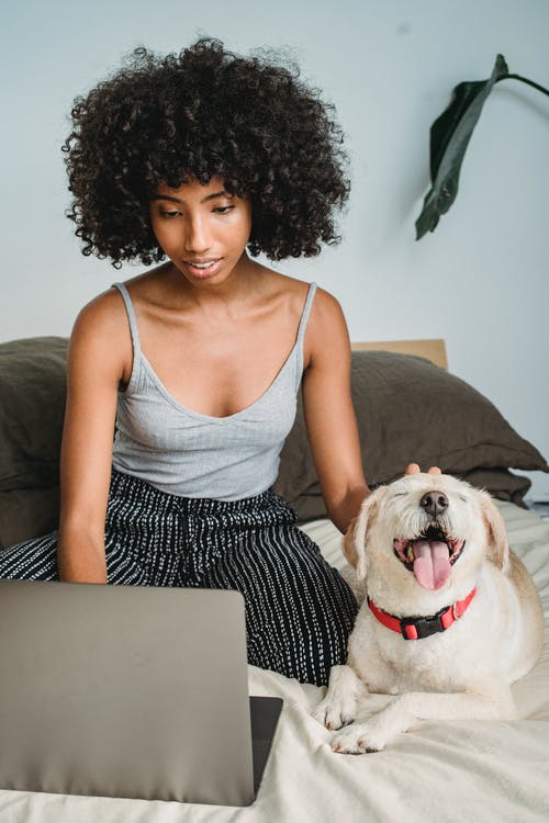 黑女人看着笔记本电脑，而爱抚在床上的狗 · 免费素材图片