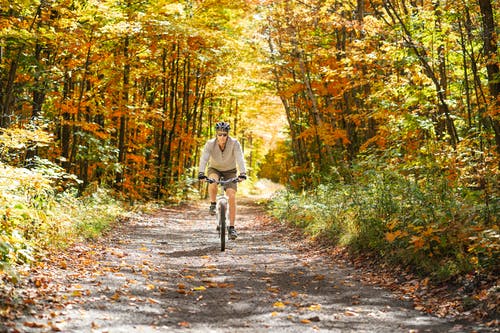 在森林里的灰色夹克骑自行车的人 · 免费素材图片